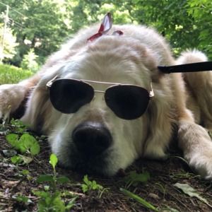 Meet your Posher, Mary